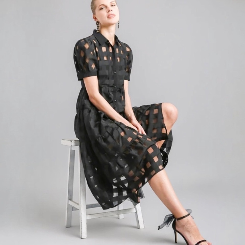 LAST ONE ☝️ Basket Weave Organza Button Down Dress